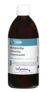 Alchémille - Wamine