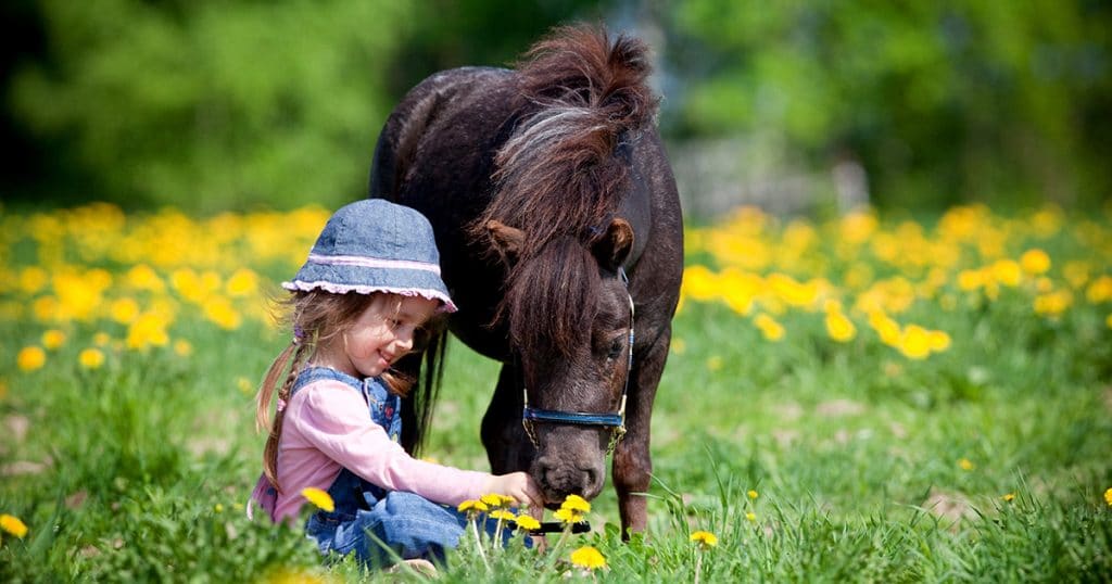 L'enfant et le cheval, une relation précieuse - Wamine