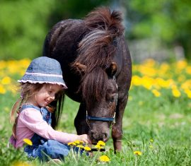 petite fille assise dans l'herbe avec un cheval