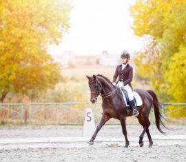 Cavalière et cheval de sport